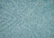 Loloi Rugs PRSIPQ-03AY003656 - Contemporary Rug