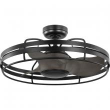 Progress P250096-31M - P250096-31M 3-BLADE CAGE FAN
