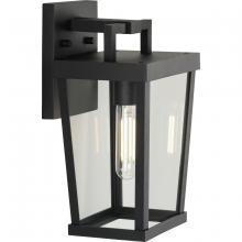 Progress P560372-031 - P560372-031 1-L WALL LANTERN