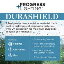 PROG_durashield6_Info-Graphic.jpg