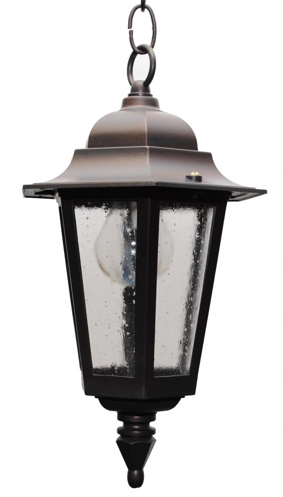 Avanti 1500 Series Hanging Model 1531 Small Outdoor Wall Lantern