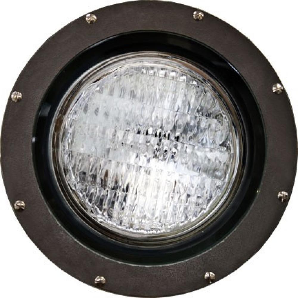 FIBERGLASS WELL LIGHT PAR38 120V