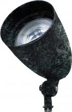 Dabmar DPR38-GL-LED12-VG - PAR38 SPOT LIGHT WITH GLASS CVR 12W RGBW LED FLOOD 120