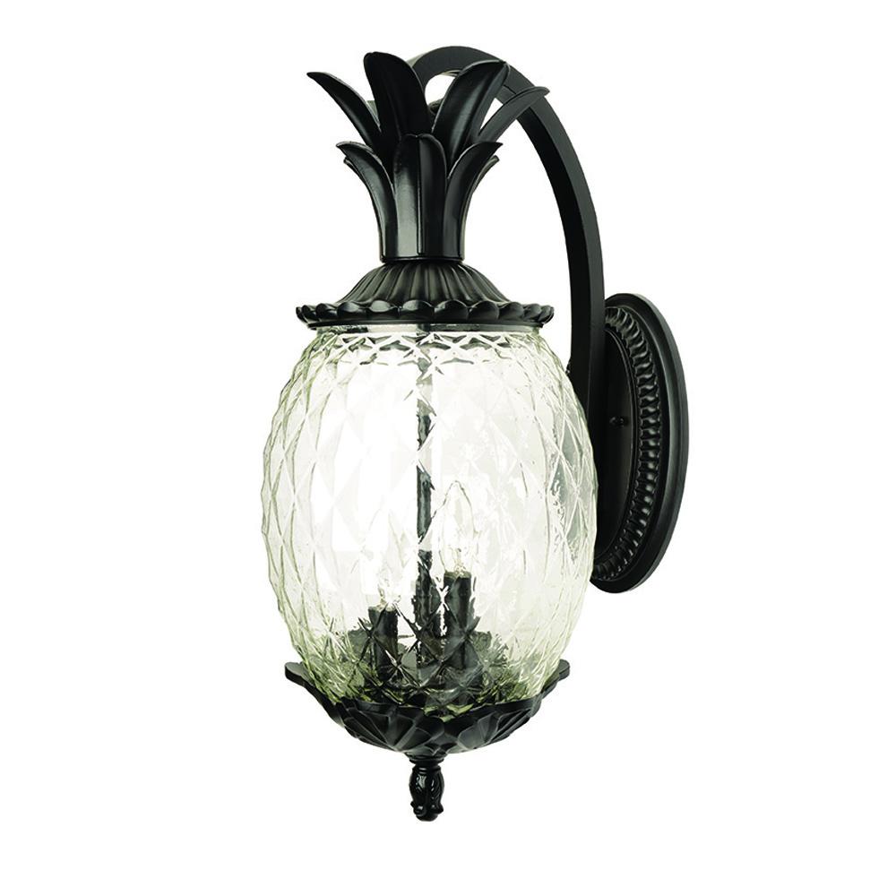 Lanai Collection Wall-Mount 2-Light Outdoor Matte Black Light Fixture