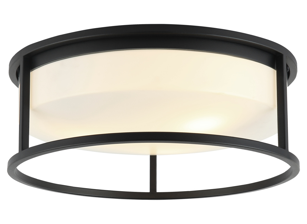 Framerton Ceiling Mount