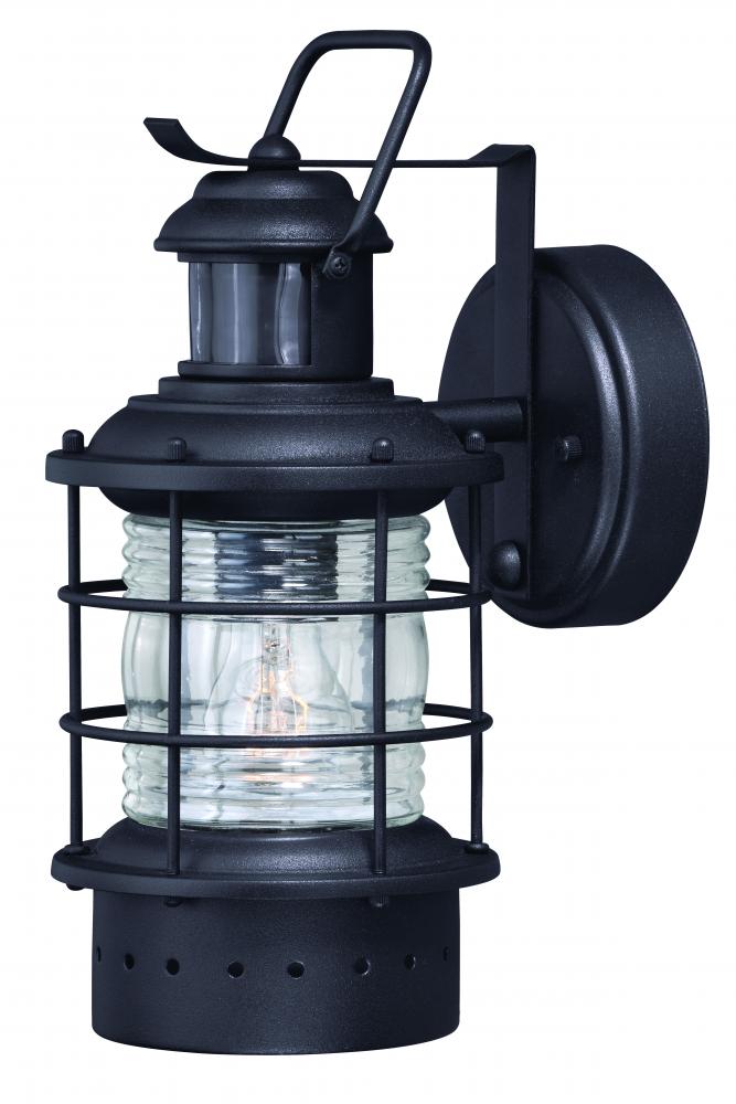 Hyannis Motion Sensor Dusk to Dawn Outdoor Wall Light Textured Black