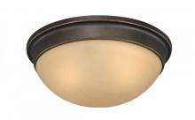 ENERGY STAR CEILING LIGHT