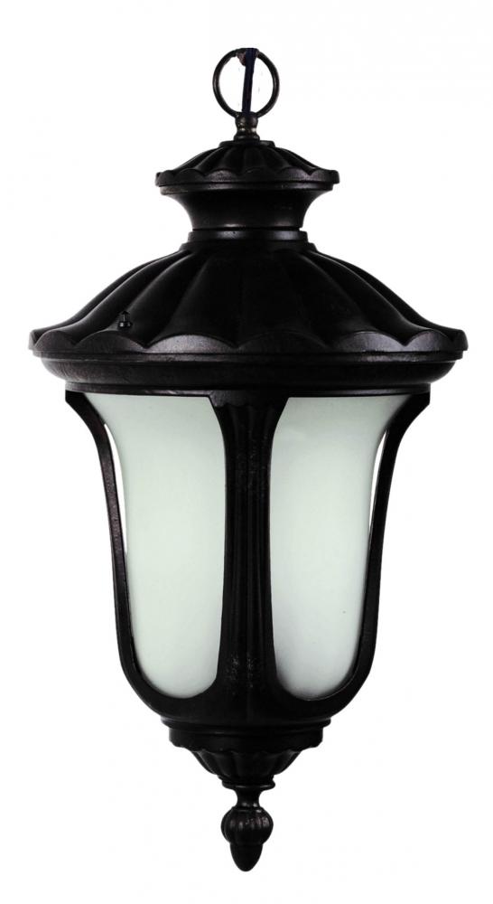 Black Hanging Lantern