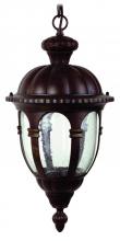 Yosemite Lighting 5333HBR - Wall Lantern