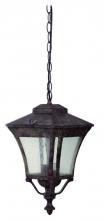 Yosemite Lighting 8013H11 - Hanging Lantern