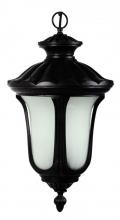 Yosemite Lighting FL5314HBL - Black Hanging Lantern