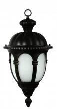 Yosemite Lighting FL5333HBL - Black Hanging Lantern