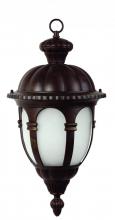 Yosemite Lighting FL5333HBR - Hanging Lantern