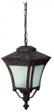 Yosemite Lighting FL8013H9 - Hanging Lantern