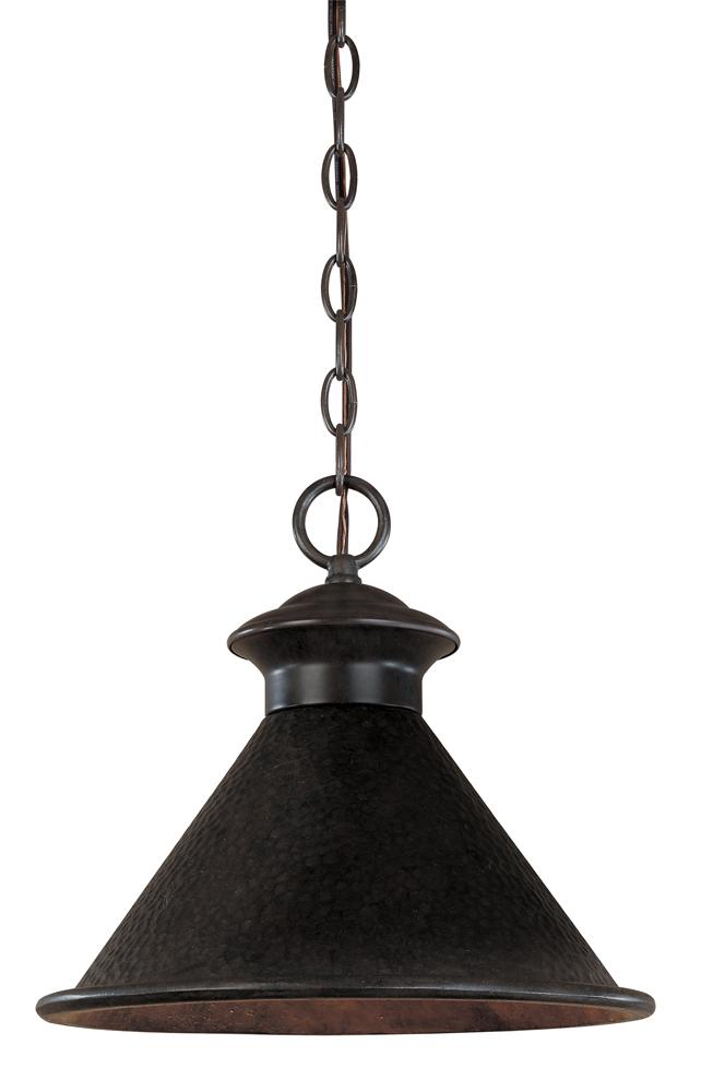 Dark Sky Essen Collection 1-Light Outdoor Bronze Pendant