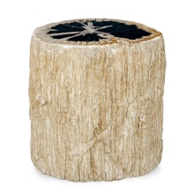 Uttermost 50321 - Uttermost Arco Petrified Wood Top Accent Table