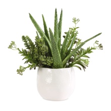 Uttermost 60244 - Uttermost Sundown Succulent Accent Planter